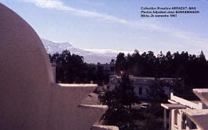 Mas- 141- Blida